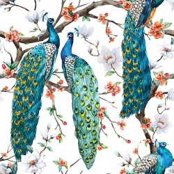 Peacock para Besta