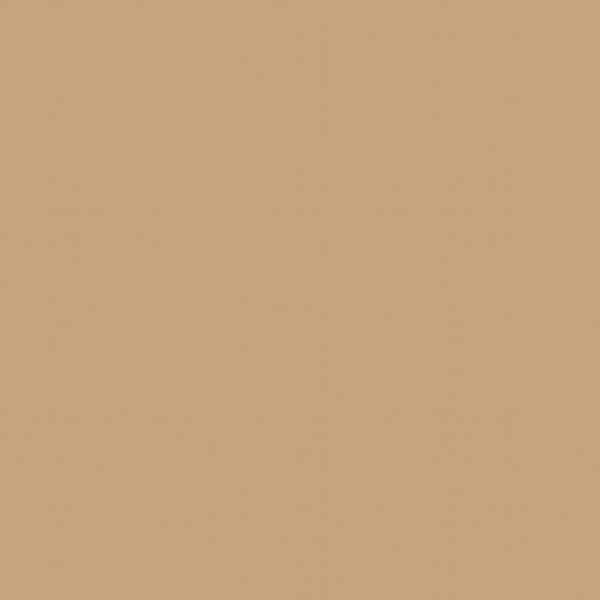 Camel Besta Door