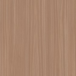 Monet 02 Tex para Besta